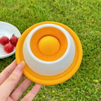 description_selected4