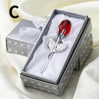 description_selected24