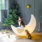 description_selected13