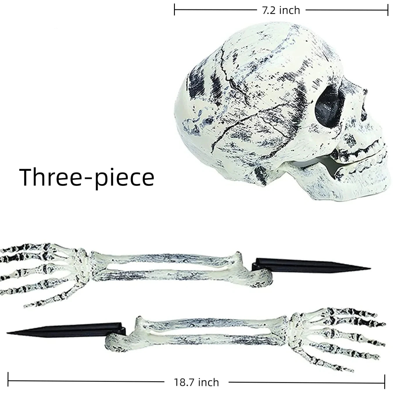 variants4