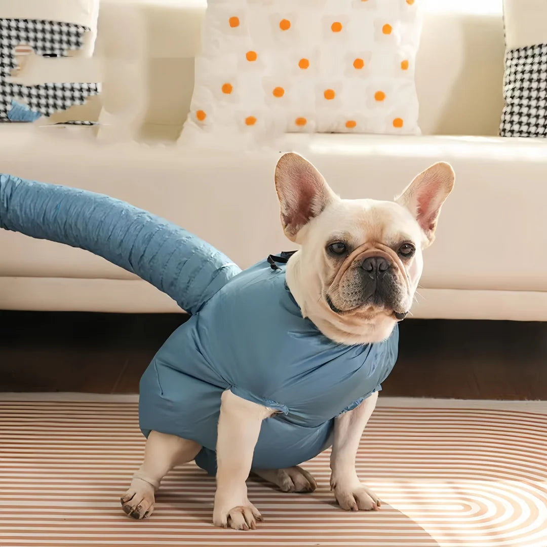 description_selected10