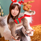 description_selected2