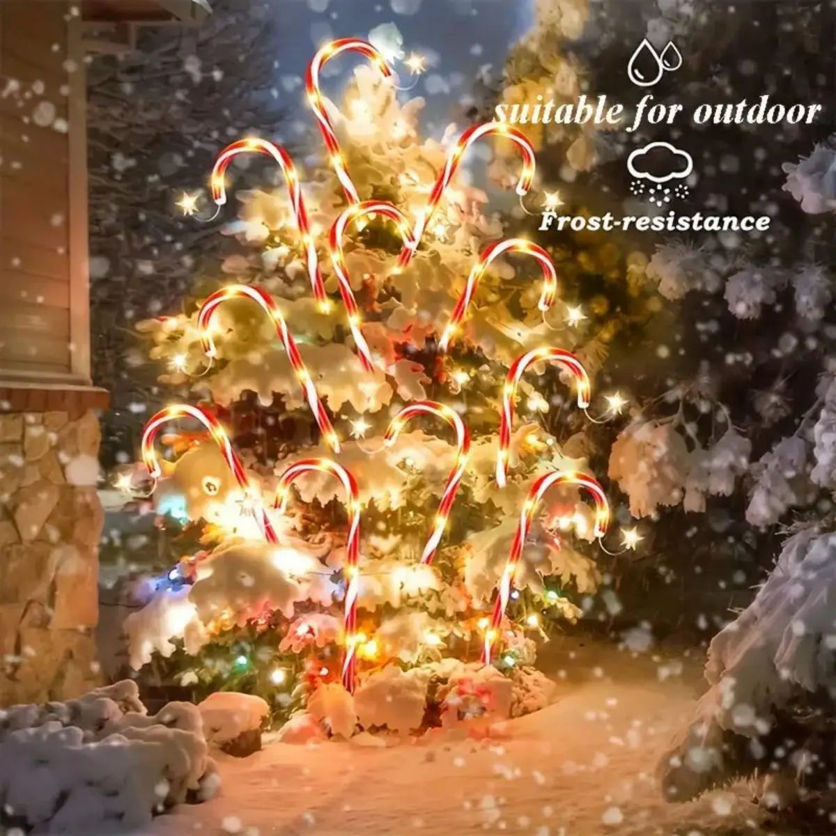 description_selected3