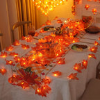 description_selected15