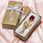 description_selected5