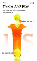 description_selected10