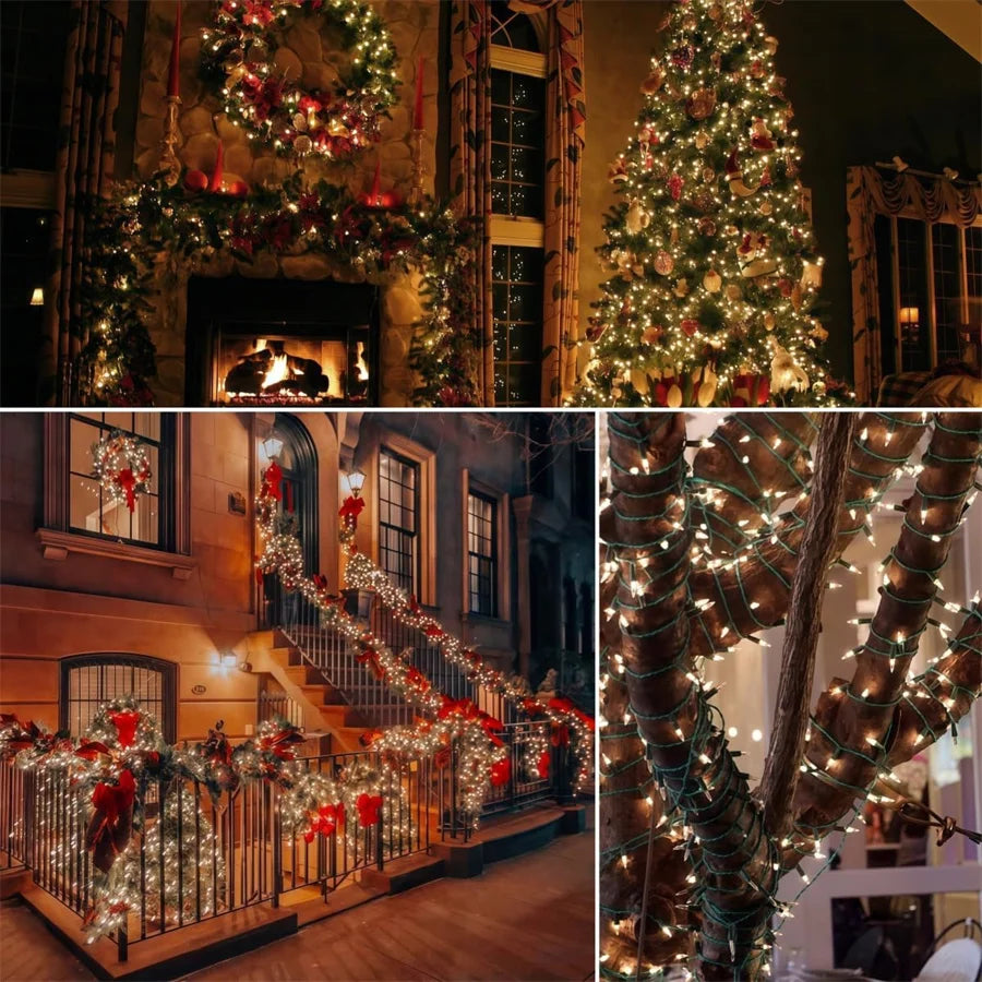 description_selected30