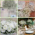 description_selected2