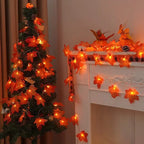 description_selected13