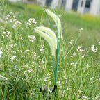 description_selected4