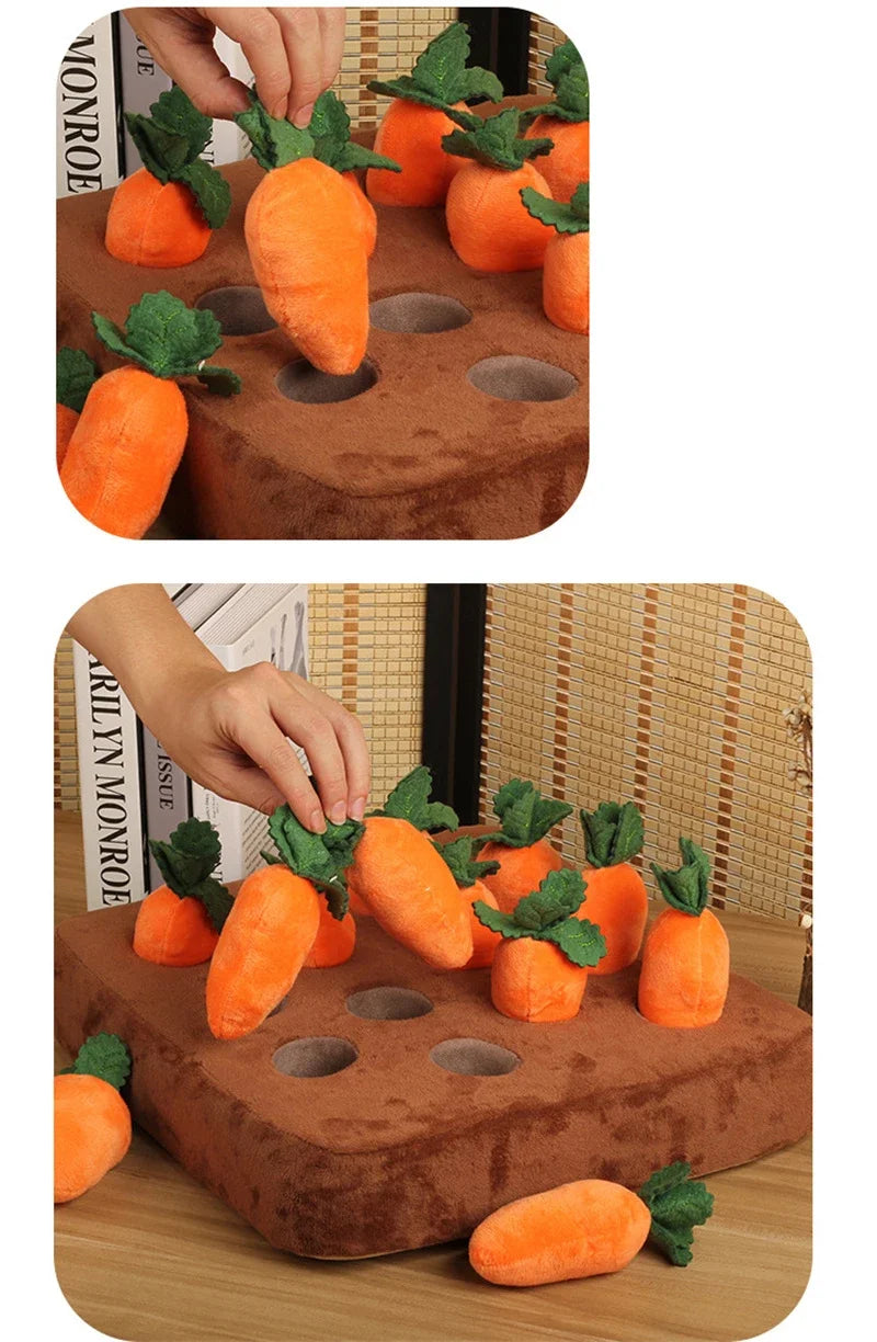 description_selected14