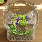 description_selected12