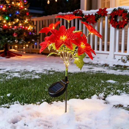 description_selected8