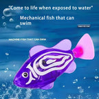 description_selected5
