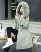 description_selected12