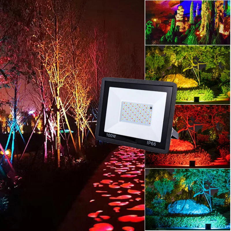 description_selected15