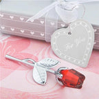 description_selected19