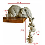 description_selected6