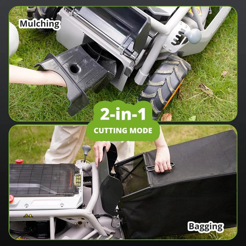 description_selected19