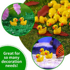 description_selected4