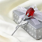 description_selected12