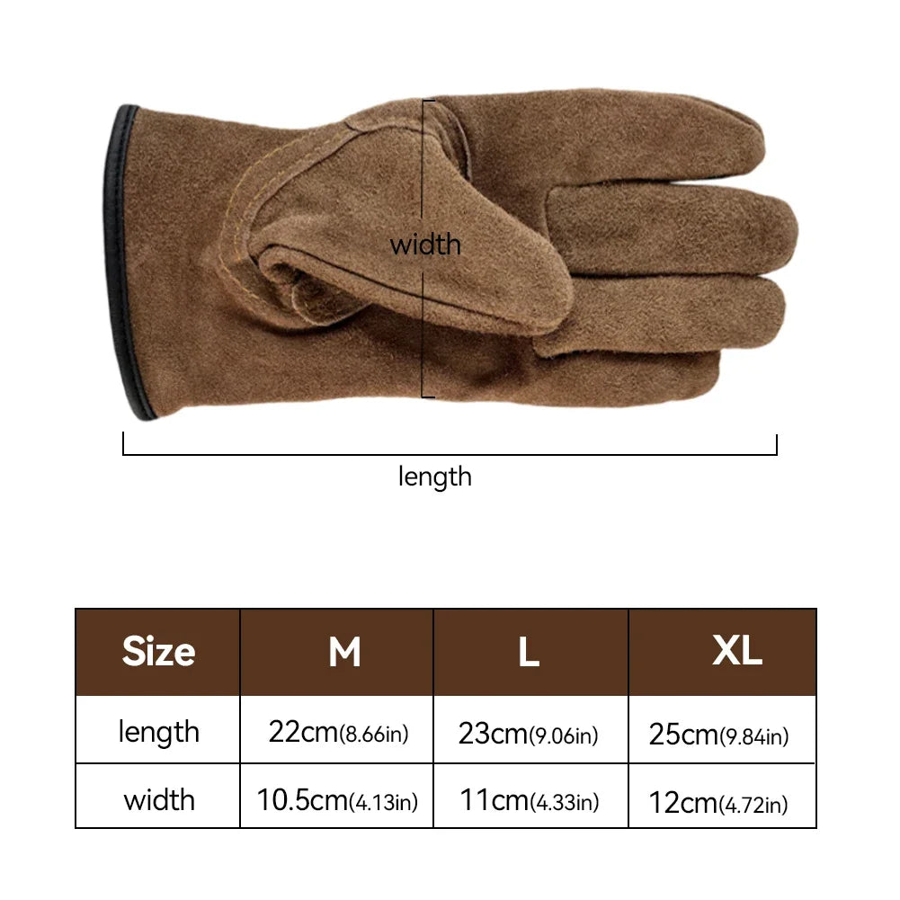 description_selected5