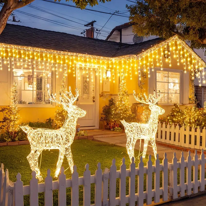 description_selected11