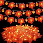 description_selected10