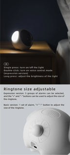 description_selected13