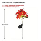 description_selected5