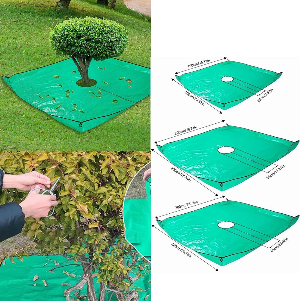 description_selected0