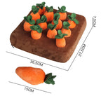 description_selected11
