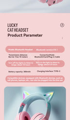 description_selected25