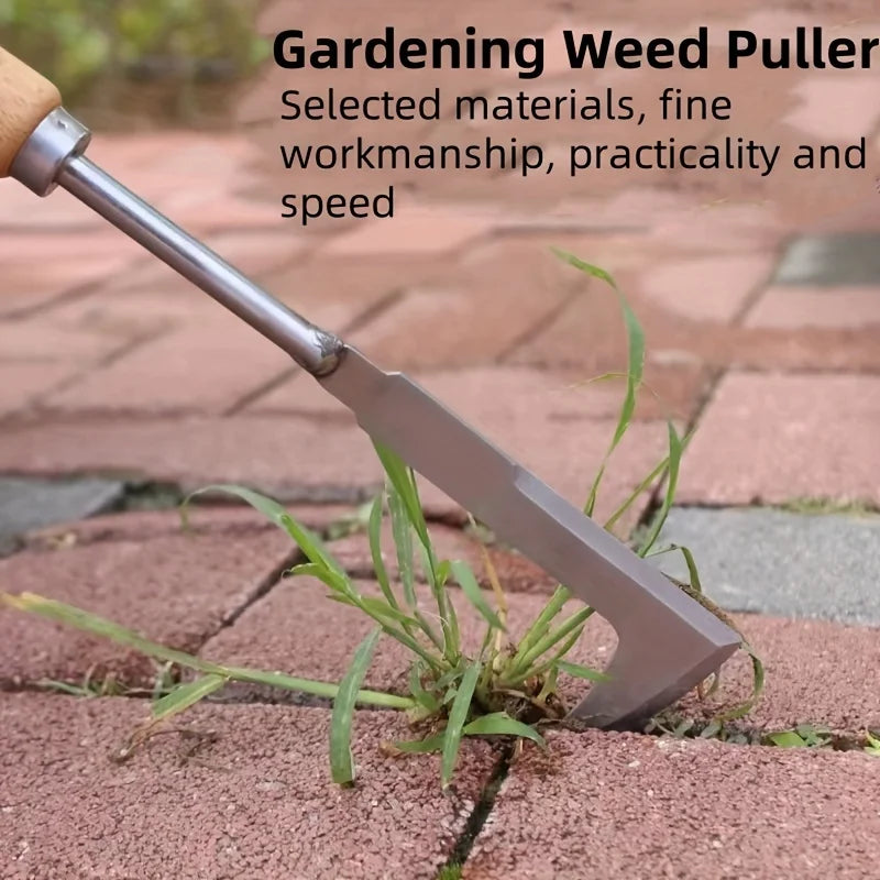 description_selected8
