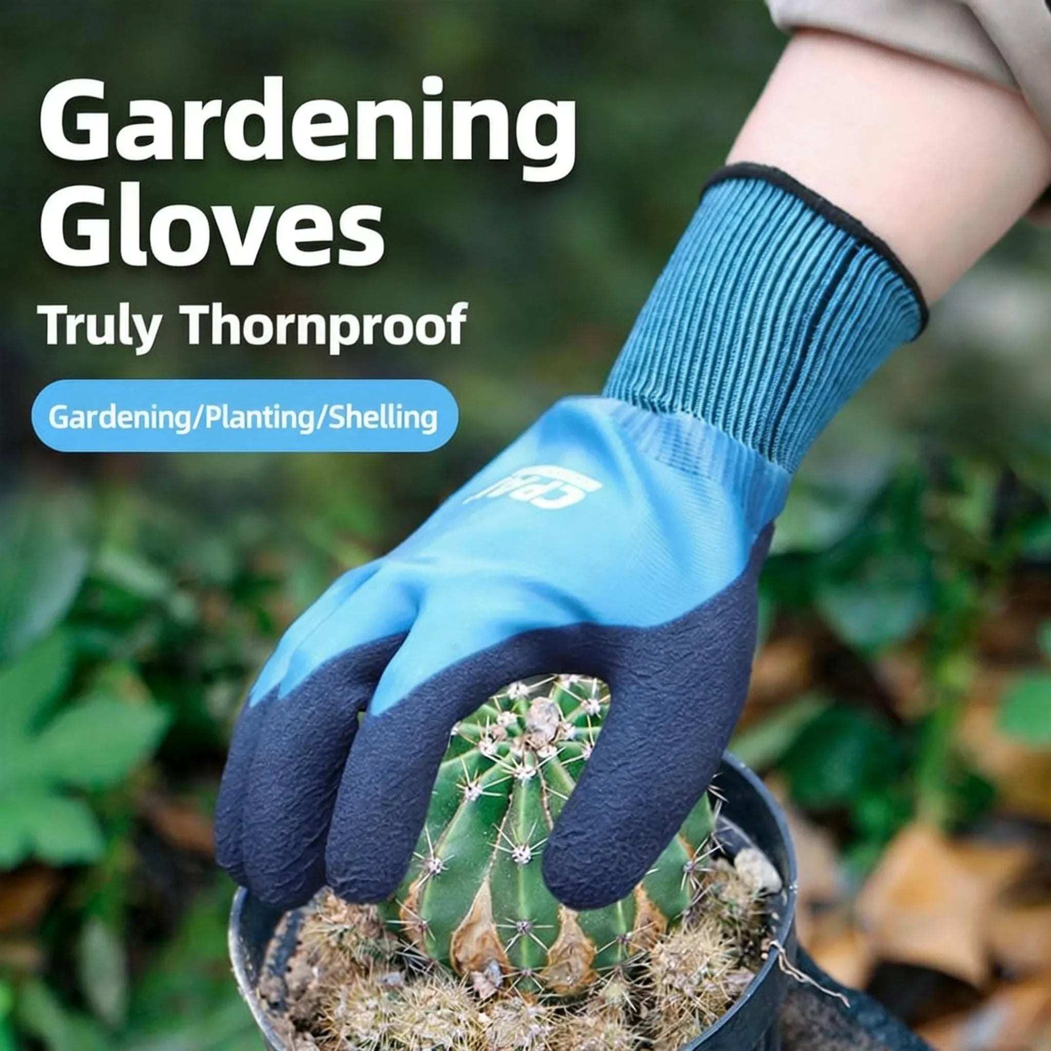 description_selected2