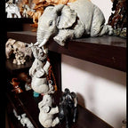 description_selected10