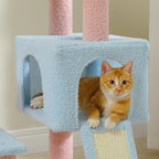 description_selected13