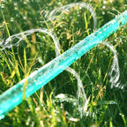 description_selected12