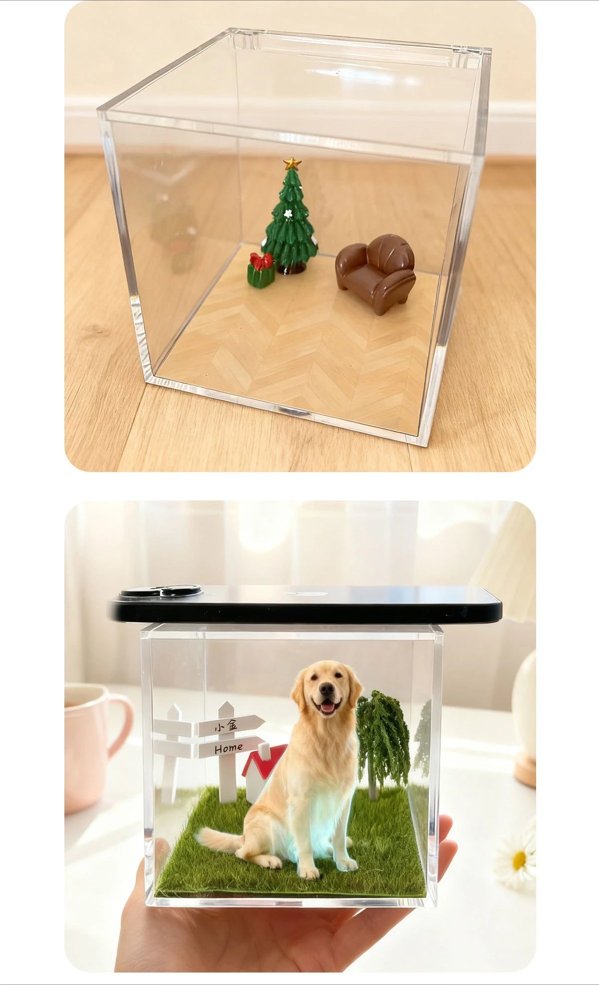 description_selected12