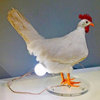 description_selected10