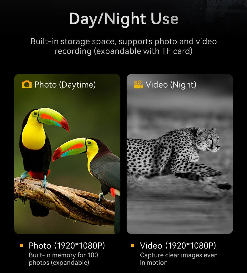 description_selected10