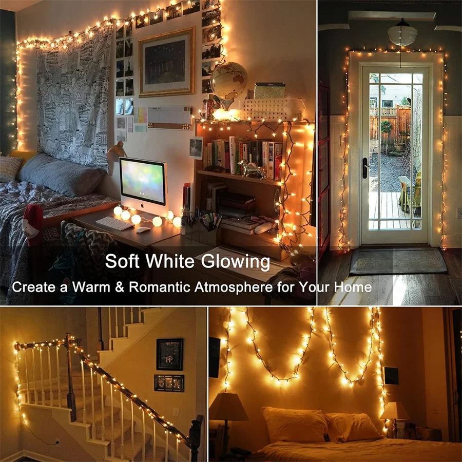 description_selected29