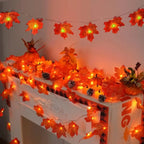 description_selected14