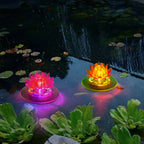 description_selected11