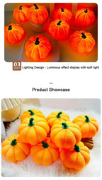 description_selected12