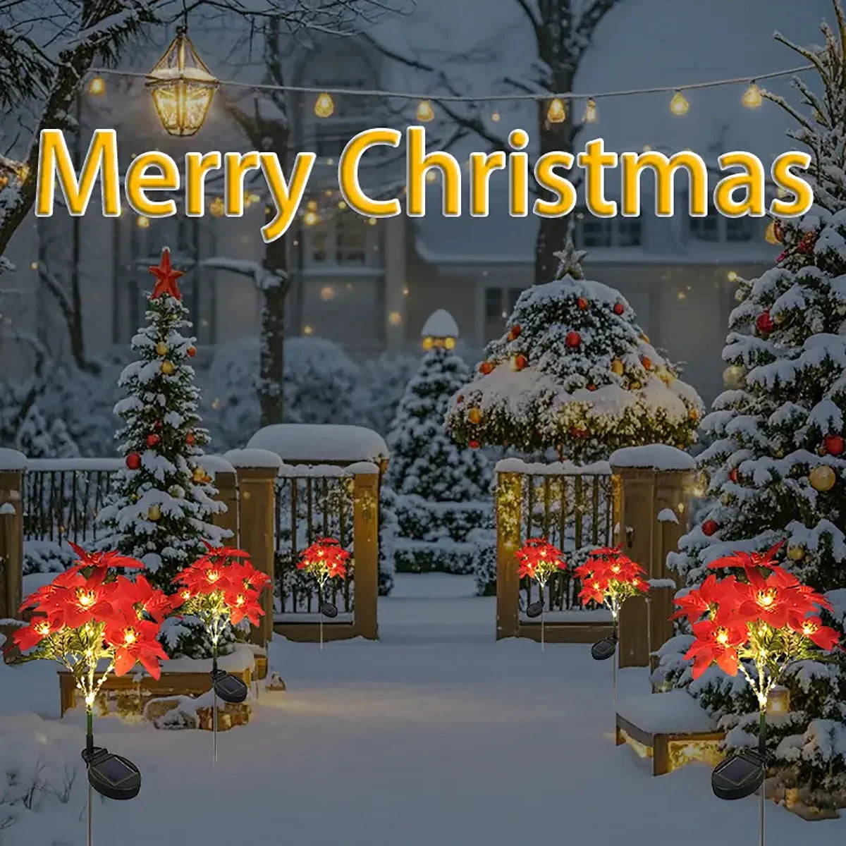 description_selected3