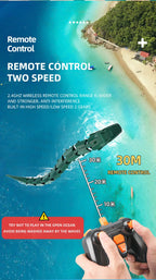 description_selected13