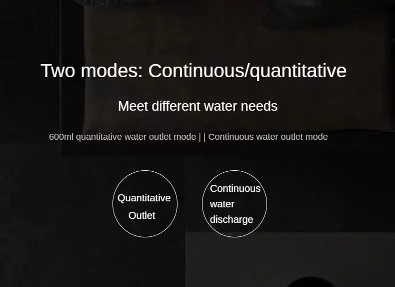 description_selected19