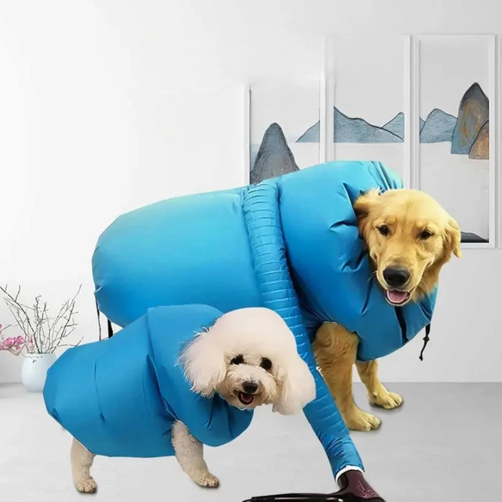 description_selected5