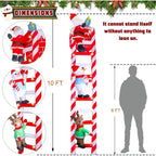 description_selected1